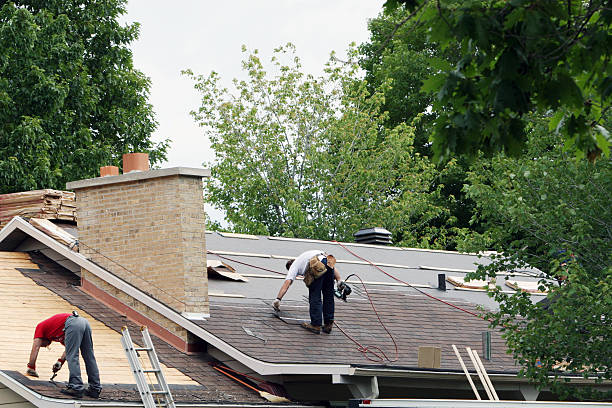 Best Roof Insulation Installation  in Riverwoods, IL